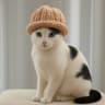Chanel wif hat