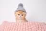 Kitten Wif Hat