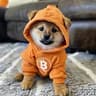 DOG (Bitcoin)