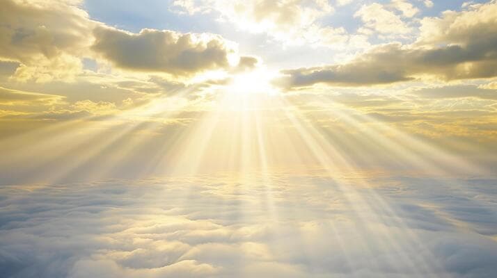 Divine Support